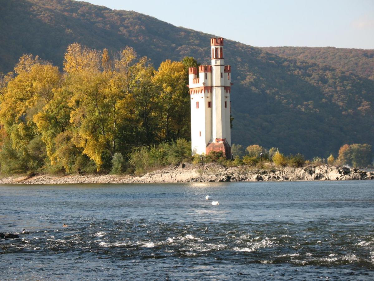 Helle Fewo, 60 Qm, Souterrain, Eigener Eingang, Rhein Und Nahe Bingen am Rhein Bagian luar foto